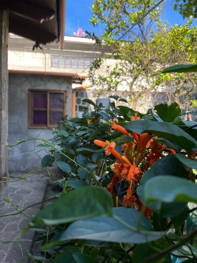 Casa Qatzij - Guest House, Lake Atitlan San Lucas Tolimán Eksteriør billede