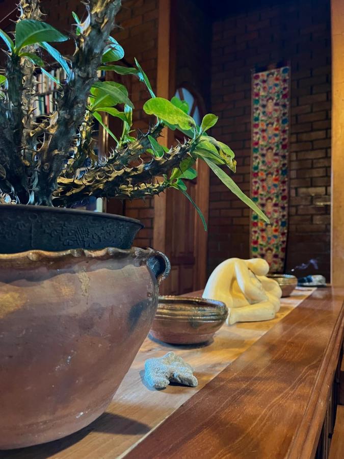 Casa Qatzij - Guest House, Lake Atitlan San Lucas Tolimán Eksteriør billede